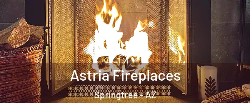 Astria Fireplaces Springtree - AZ