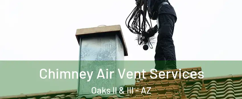 Chimney Air Vent Services Oaks II & III - AZ