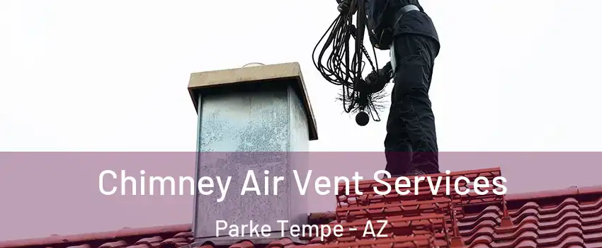 Chimney Air Vent Services Parke Tempe - AZ