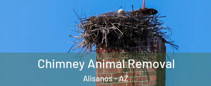 Chimney Animal Removal Alisanos - AZ