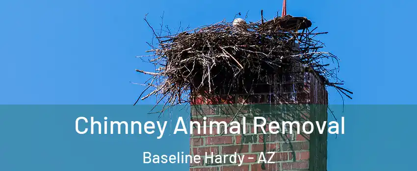 Chimney Animal Removal Baseline Hardy - AZ