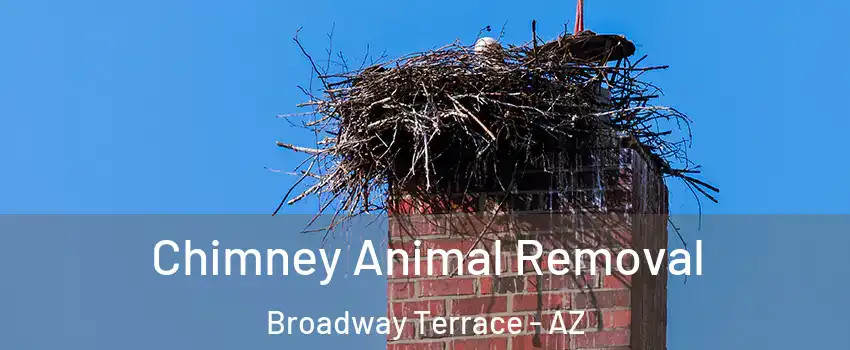 Chimney Animal Removal Broadway Terrace - AZ