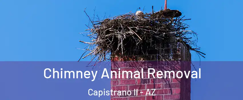 Chimney Animal Removal Capistrano II - AZ