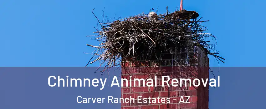 Chimney Animal Removal Carver Ranch Estates - AZ