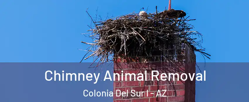 Chimney Animal Removal Colonia Del Sur I - AZ