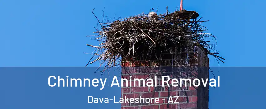 Chimney Animal Removal Dava-Lakeshore - AZ