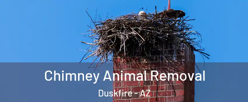 Chimney Animal Removal Duskfire - AZ