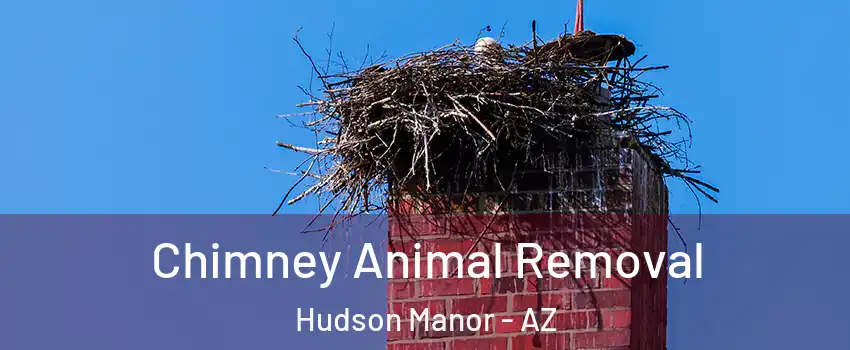 Chimney Animal Removal Hudson Manor - AZ