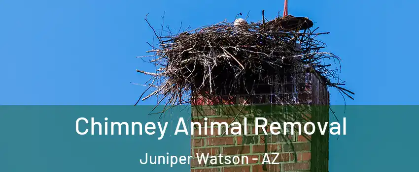 Chimney Animal Removal Juniper Watson - AZ