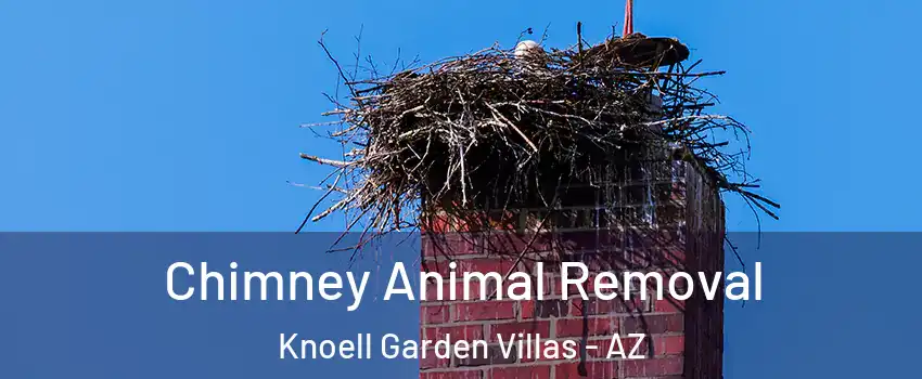 Chimney Animal Removal Knoell Garden Villas - AZ