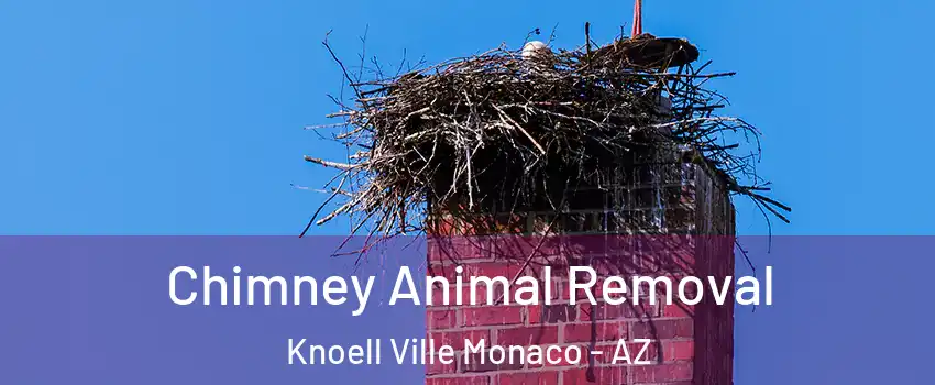 Chimney Animal Removal Knoell Ville Monaco - AZ