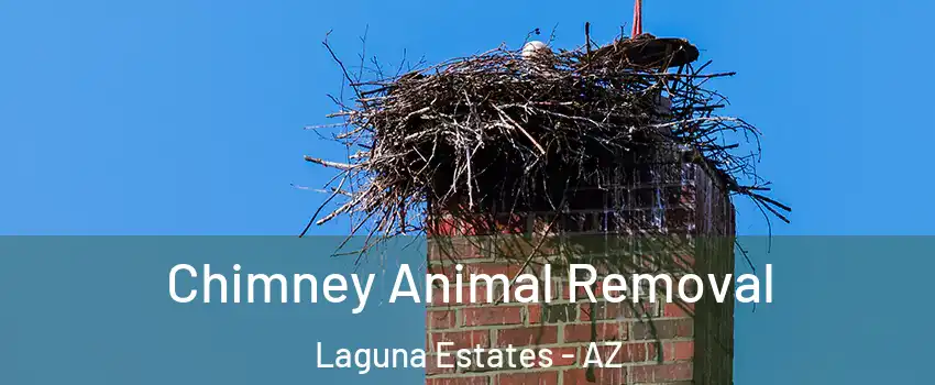 Chimney Animal Removal Laguna Estates - AZ