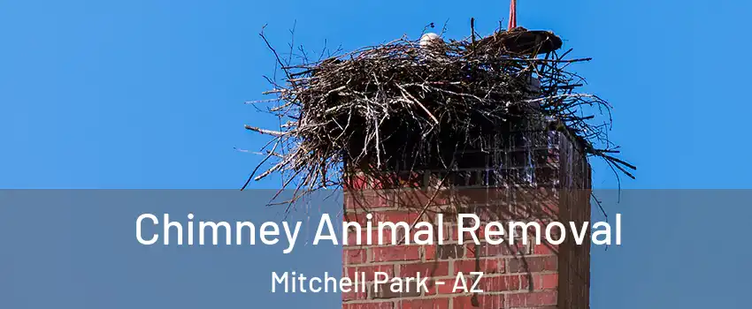 Chimney Animal Removal Mitchell Park - AZ