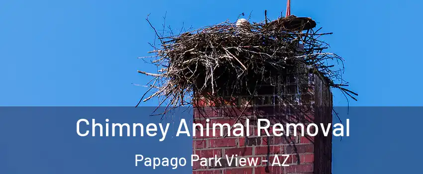 Chimney Animal Removal Papago Park View - AZ