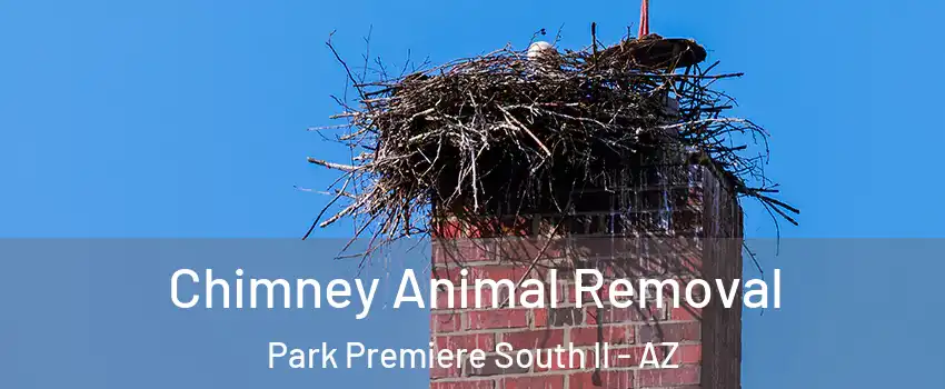 Chimney Animal Removal Park Premiere South II - AZ