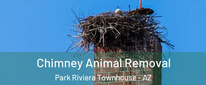 Chimney Animal Removal Park Riviera Townhouse - AZ