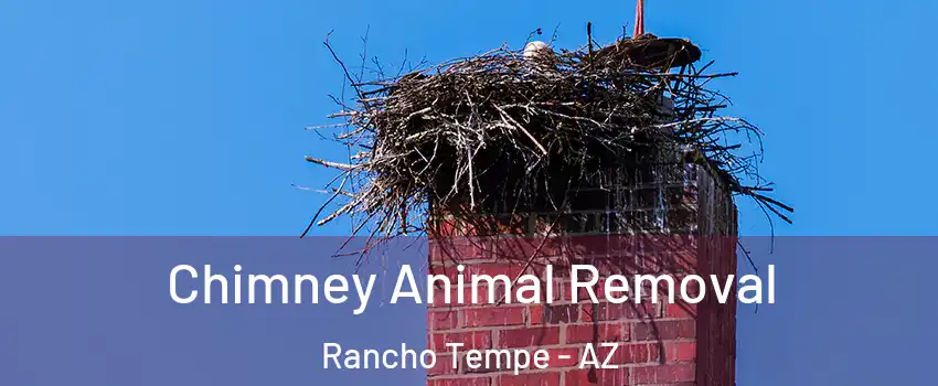 Chimney Animal Removal Rancho Tempe - AZ