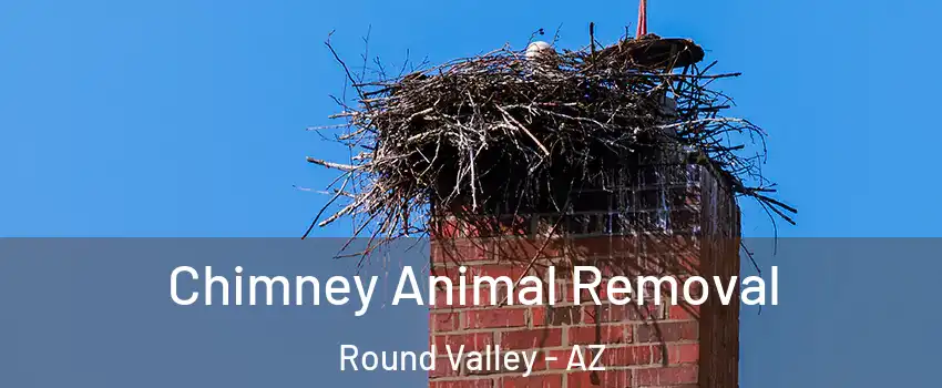 Chimney Animal Removal Round Valley - AZ