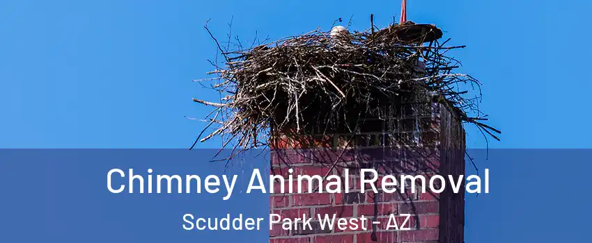 Chimney Animal Removal Scudder Park West - AZ