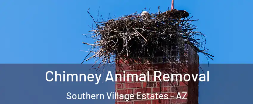 Chimney Animal Removal Southern Village Estates - AZ