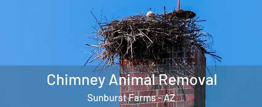 Chimney Animal Removal Sunburst Farms - AZ