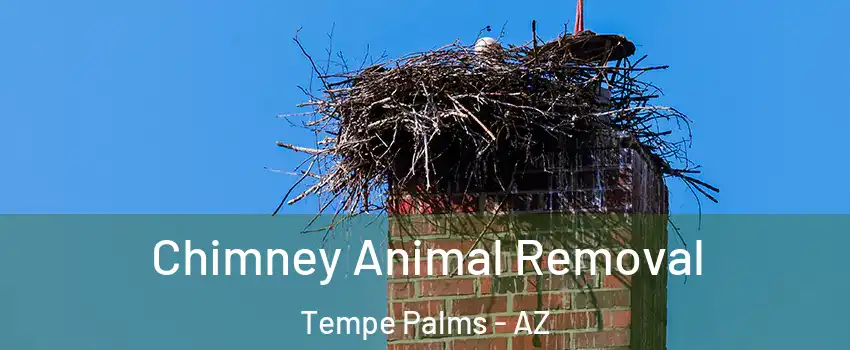 Chimney Animal Removal Tempe Palms - AZ