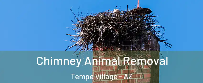 Chimney Animal Removal Tempe Village - AZ