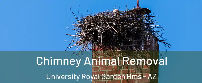 Chimney Animal Removal University Royal Garden Hms - AZ