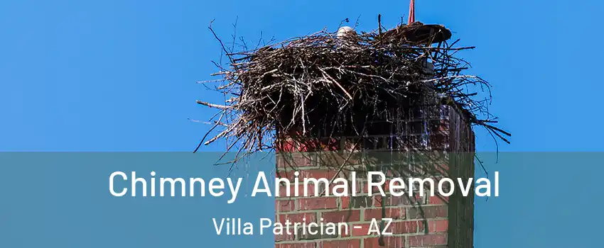 Chimney Animal Removal Villa Patrician - AZ