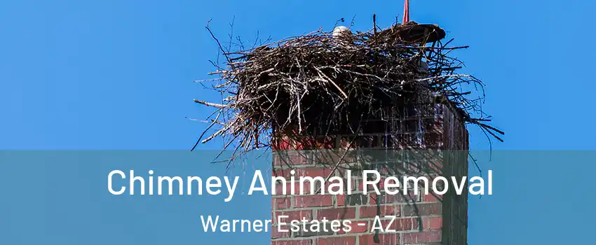 Chimney Animal Removal Warner Estates - AZ