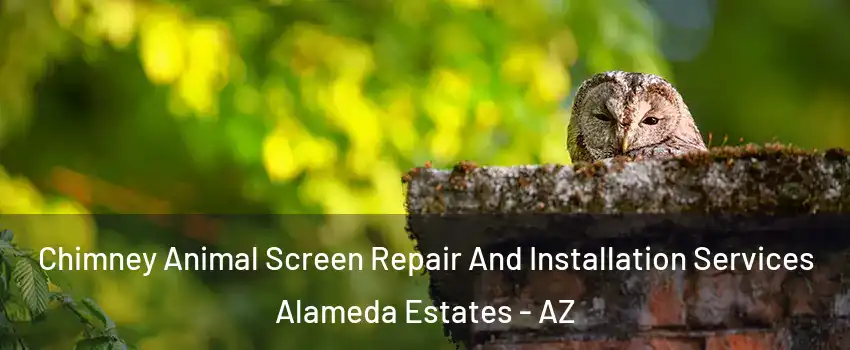 Chimney Animal Screen Repair And Installation Services Alameda Estates - AZ