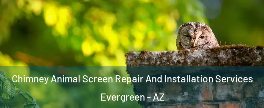 Chimney Animal Screen Repair And Installation Services Evergreen - AZ