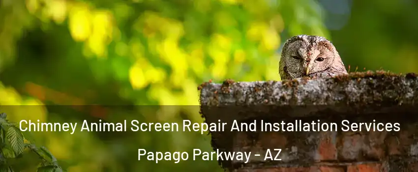 Chimney Animal Screen Repair And Installation Services Papago Parkway - AZ