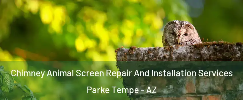 Chimney Animal Screen Repair And Installation Services Parke Tempe - AZ