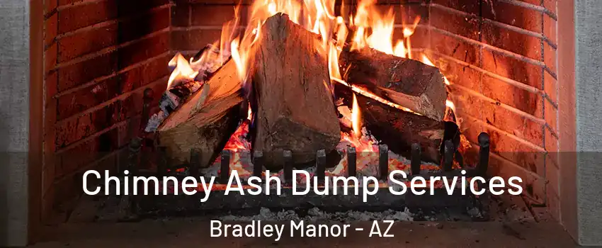 Chimney Ash Dump Services Bradley Manor - AZ