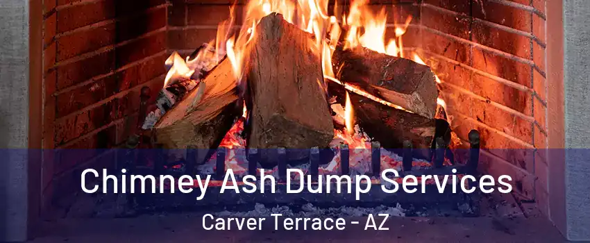 Chimney Ash Dump Services Carver Terrace - AZ