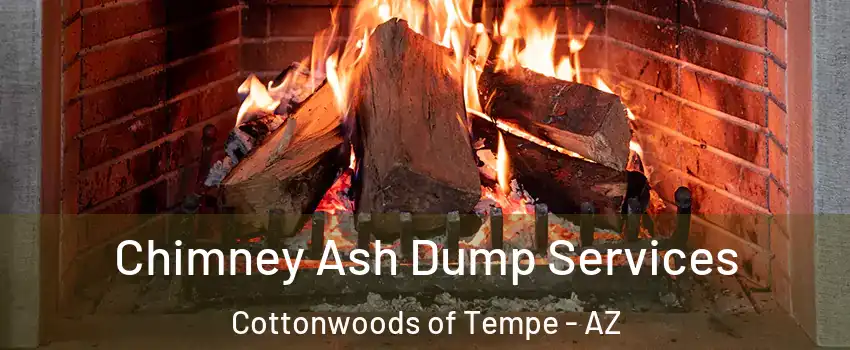 Chimney Ash Dump Services Cottonwoods of Tempe - AZ