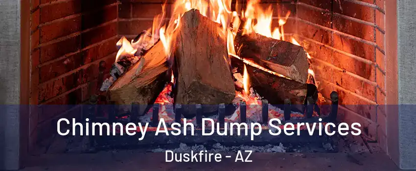 Chimney Ash Dump Services Duskfire - AZ