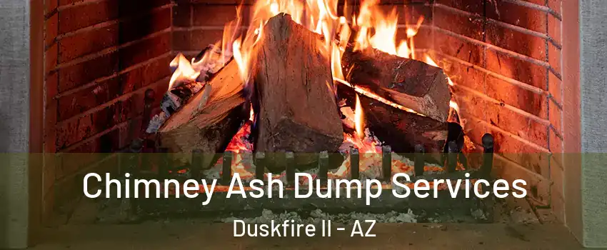 Chimney Ash Dump Services Duskfire II - AZ