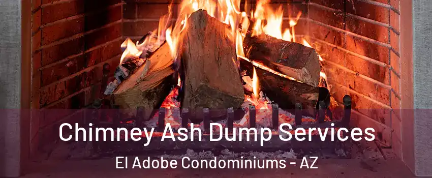 Chimney Ash Dump Services El Adobe Condominiums - AZ