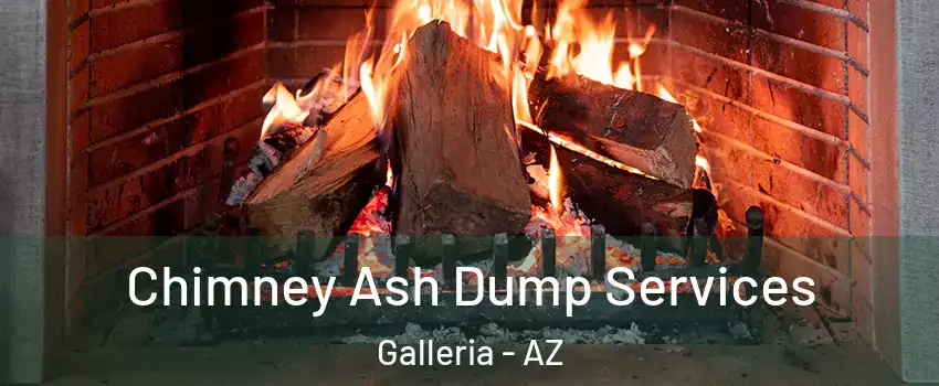 Chimney Ash Dump Services Galleria - AZ