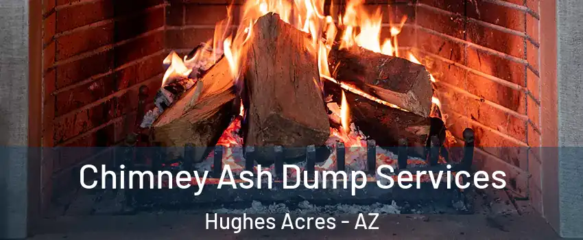 Chimney Ash Dump Services Hughes Acres - AZ