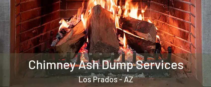 Chimney Ash Dump Services Los Prados - AZ