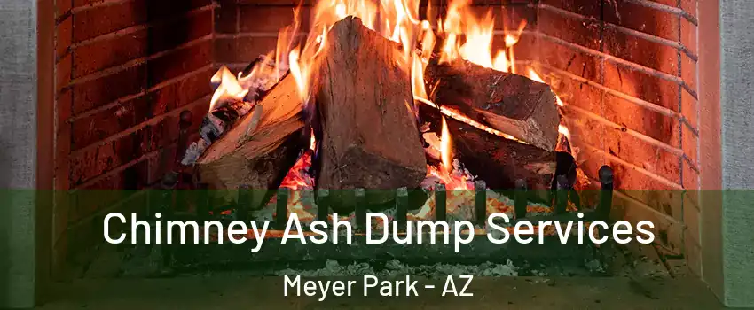 Chimney Ash Dump Services Meyer Park - AZ