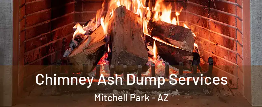 Chimney Ash Dump Services Mitchell Park - AZ