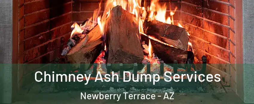 Chimney Ash Dump Services Newberry Terrace - AZ