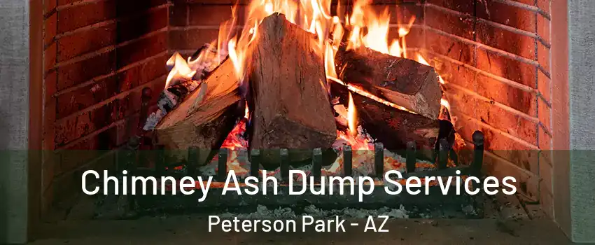 Chimney Ash Dump Services Peterson Park - AZ