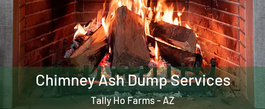 Chimney Ash Dump Services Tally Ho Farms - AZ