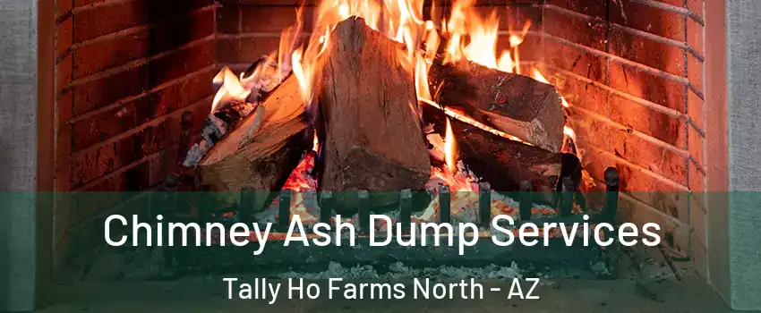 Chimney Ash Dump Services Tally Ho Farms North - AZ