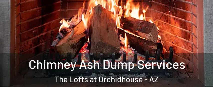 Chimney Ash Dump Services The Lofts at Orchidhouse - AZ